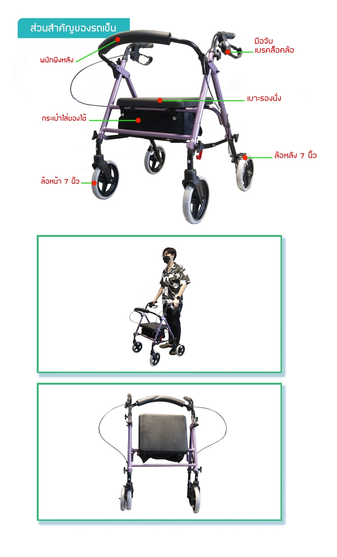 รถเข็นช่วยเดิน พยุงเดิน ผู้สูงอายุ คนชรา ผู้ป่วย Rollator รุ่น BT-50 Purple
